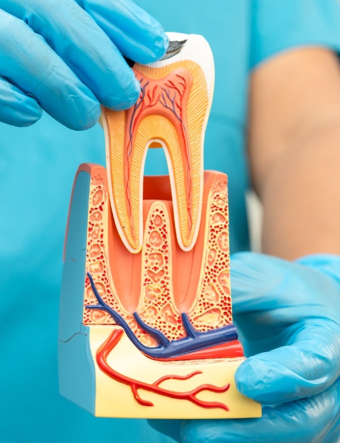 Treatment - Conway House Dental